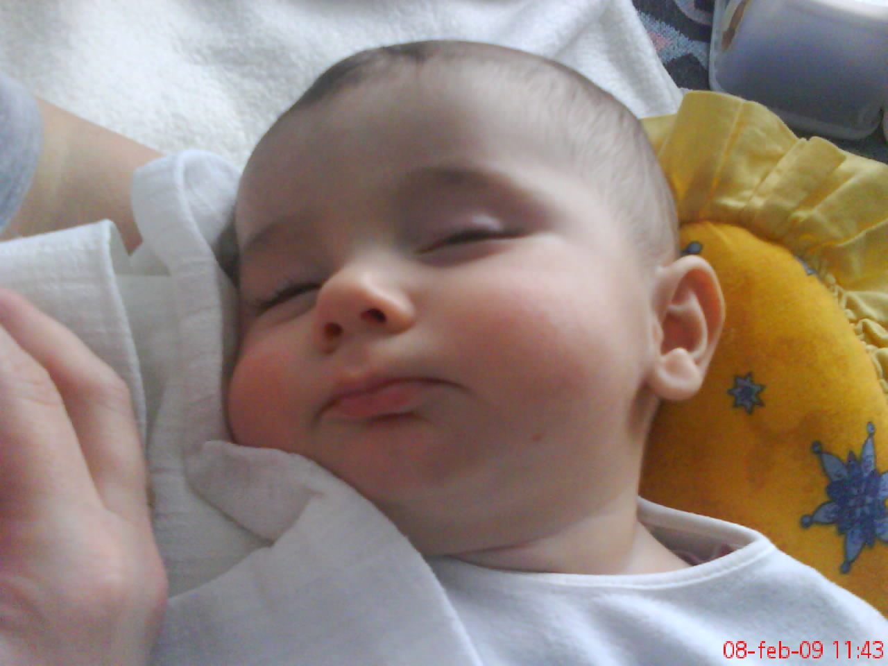 DSC00374.JPG