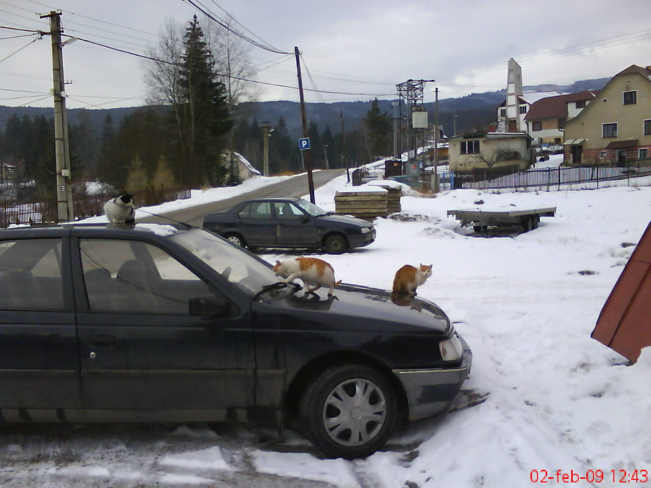 DSC00288.JPG