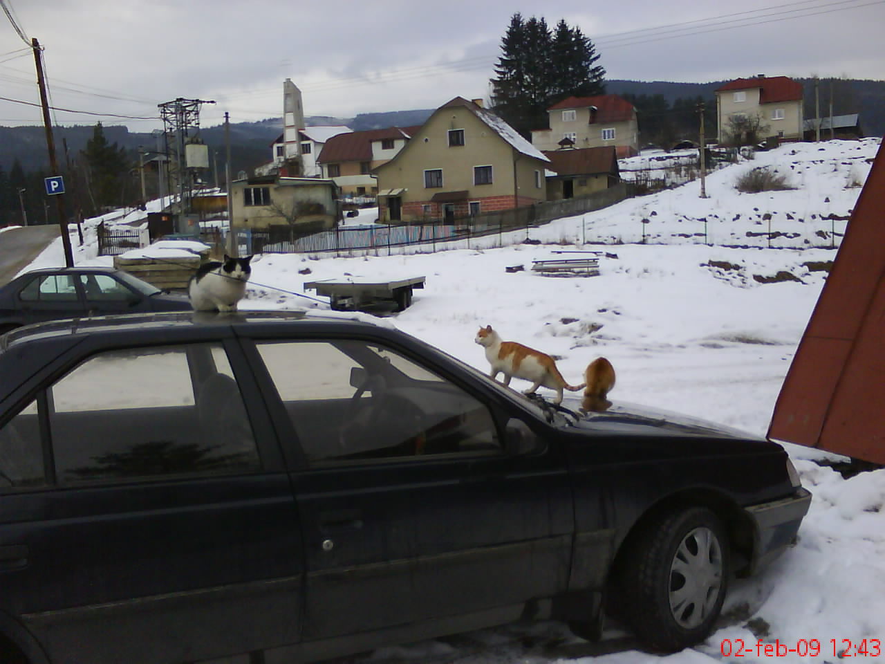 DSC00289.JPG