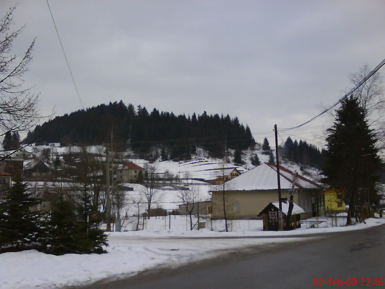 DSC00297.JPG